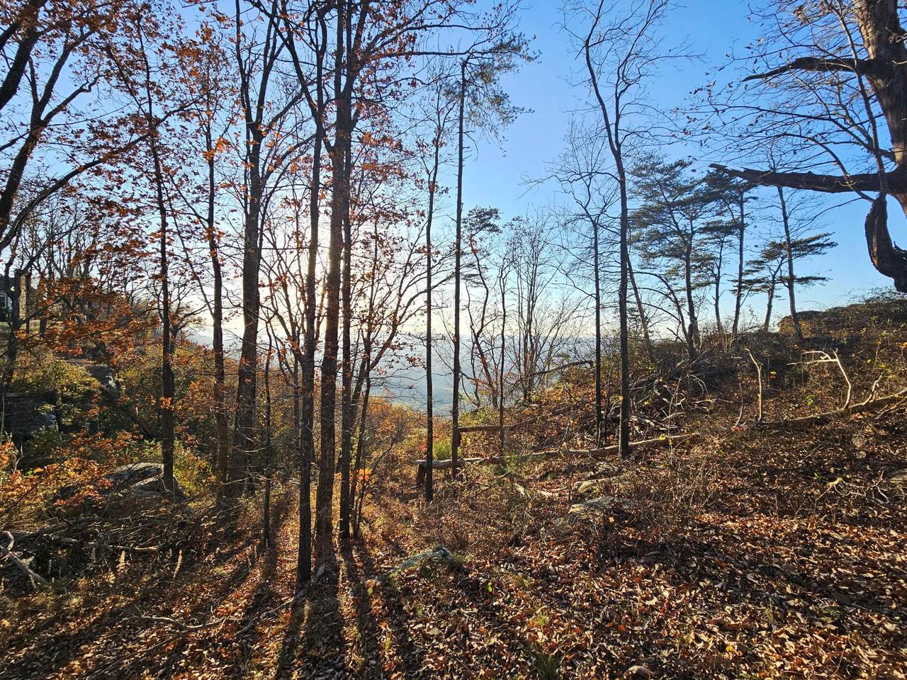 https://bt-photos.global.ssl.fastly.net/nashville/1280_boomver_1_RTC3045231-1.jpg