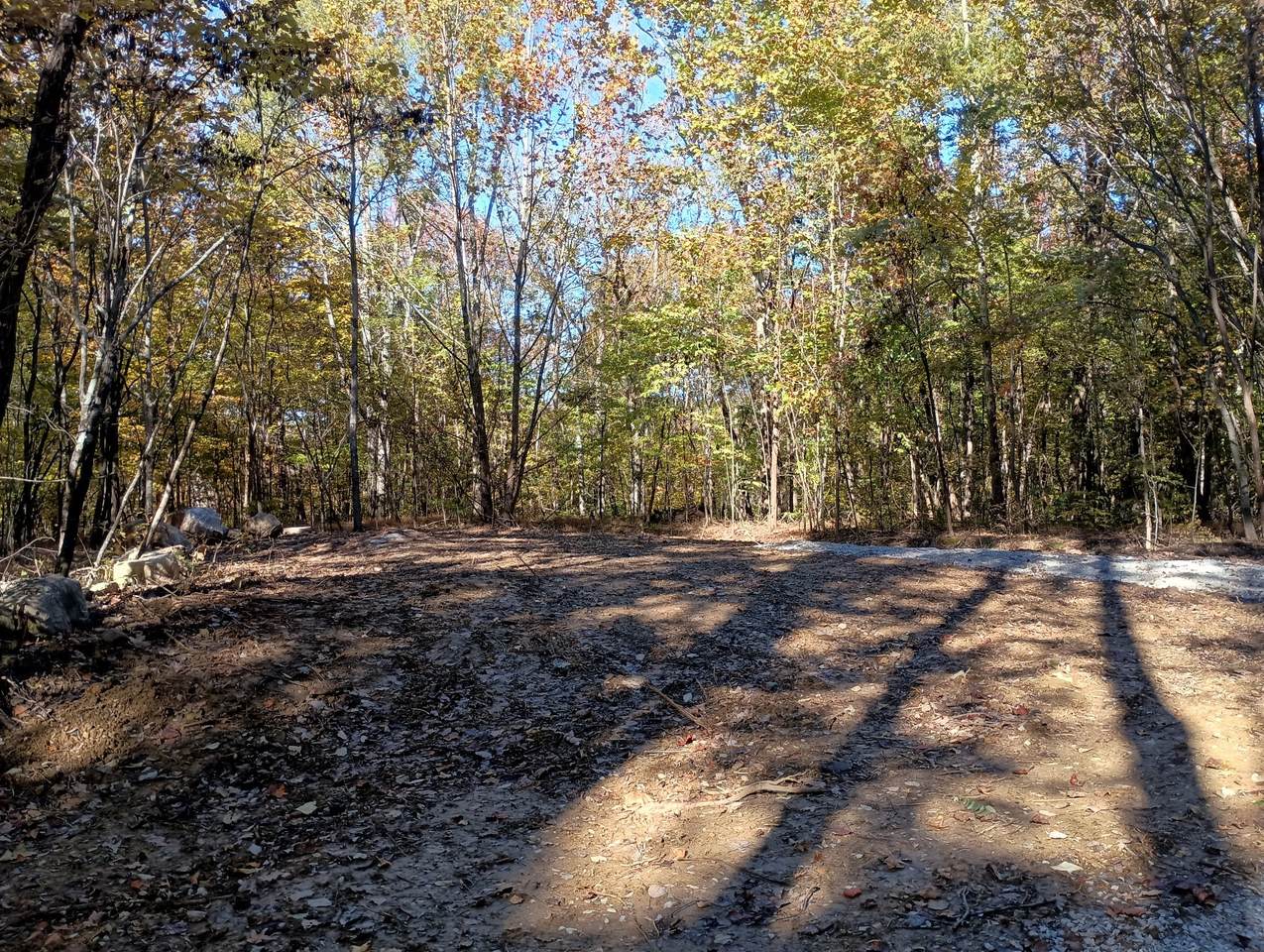 https://bt-photos.global.ssl.fastly.net/nashville/1280_boomver_1_RTC3045438-1.jpg