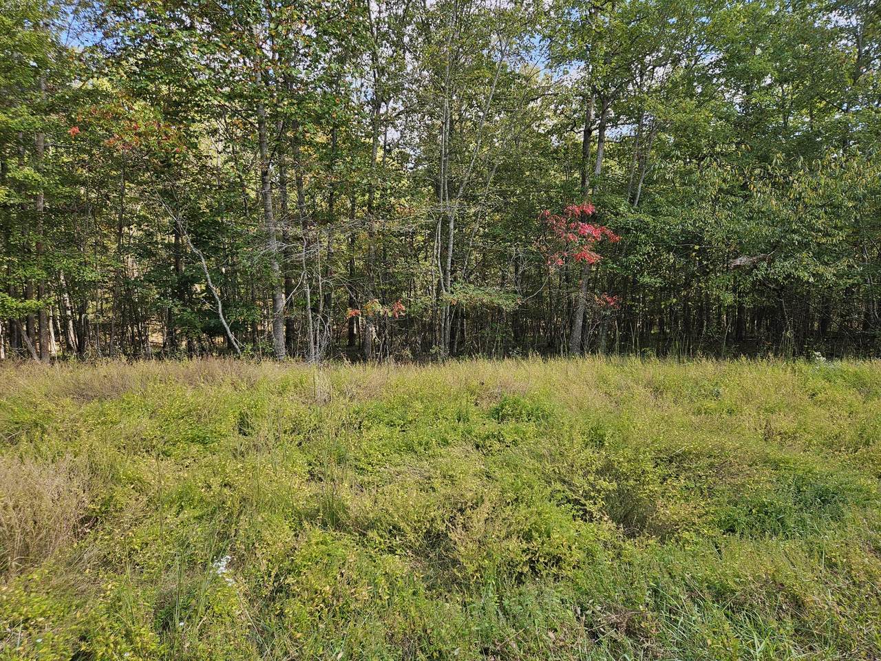 0 Holly Lane - Photo 1