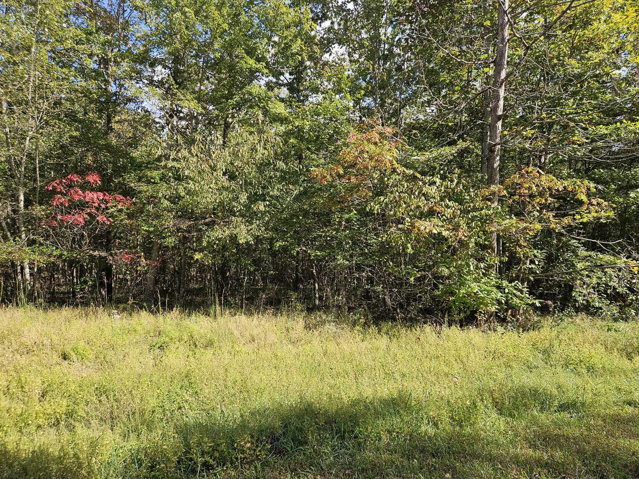 https://bt-photos.global.ssl.fastly.net/nashville/1280_boomver_1_RTC3045534-1.jpg