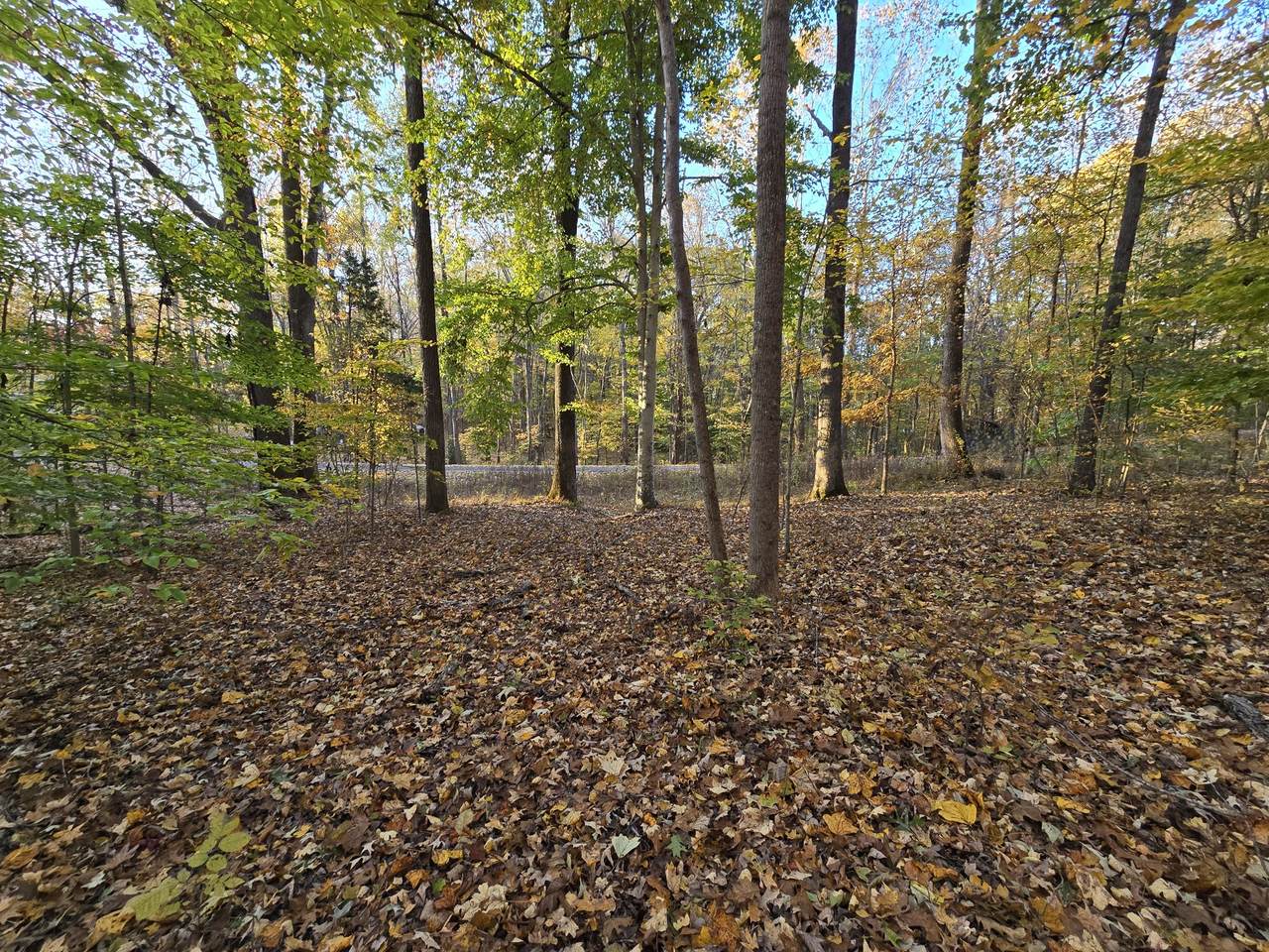https://bt-photos.global.ssl.fastly.net/nashville/1280_boomver_1_RTC3045715-1.jpg