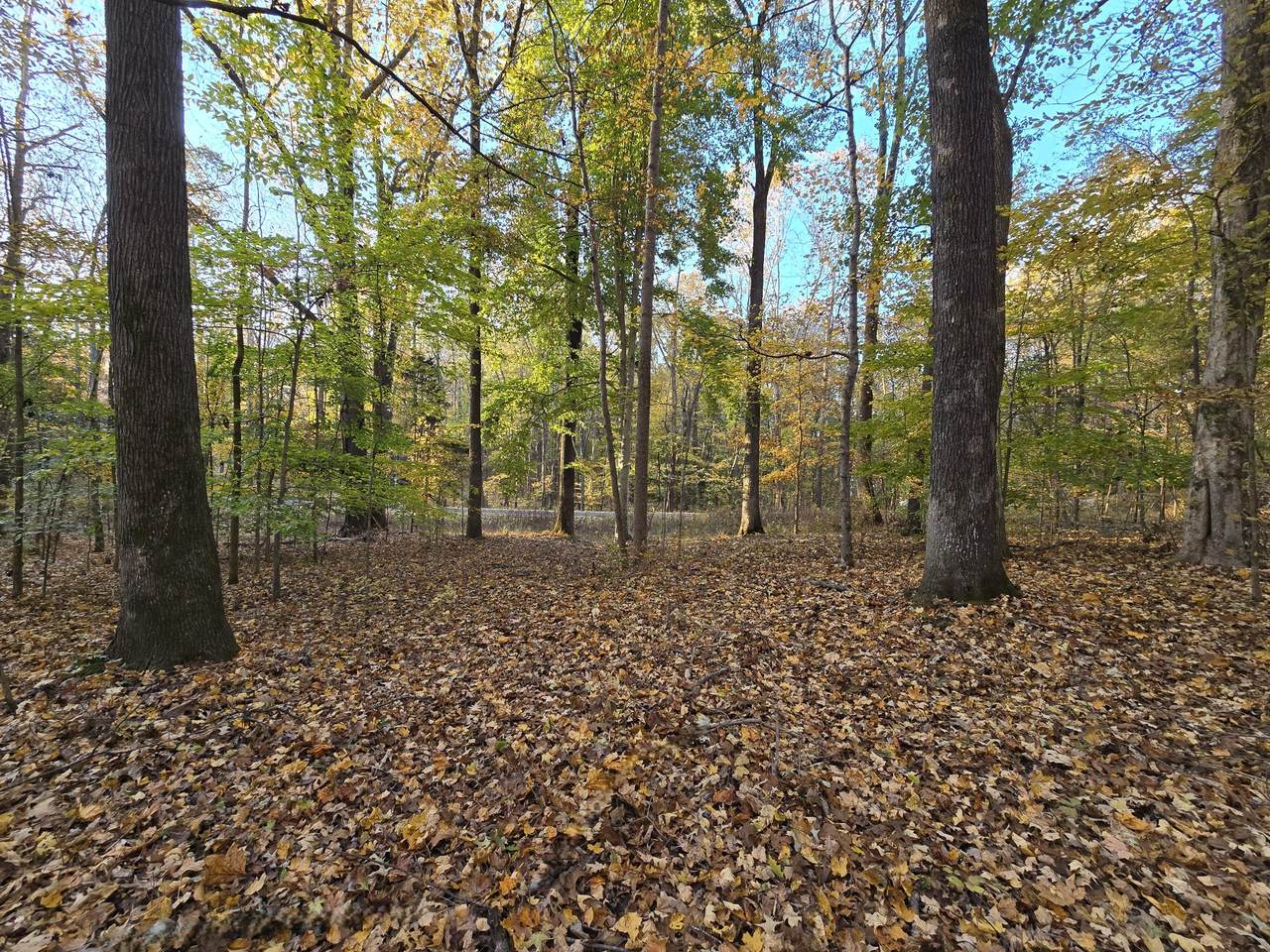 https://bt-photos.global.ssl.fastly.net/nashville/1280_boomver_1_RTC3045715-1.jpg