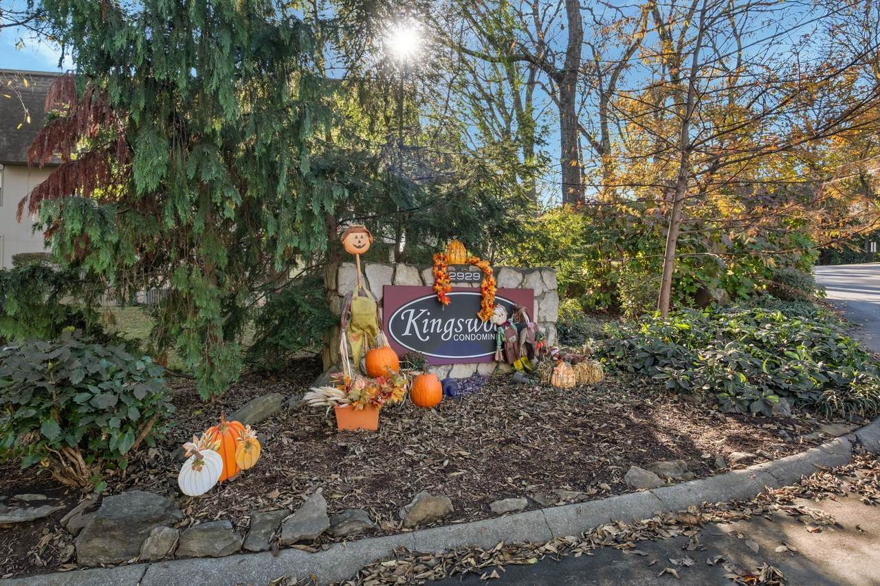 2929 Selena Dr - Photo 1