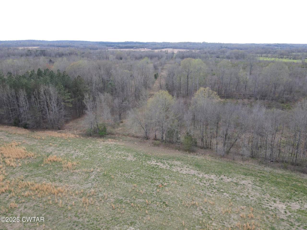 https://bt-photos.global.ssl.fastly.net/nashville/1280_boomver_1_RTC3047408-1.jpg