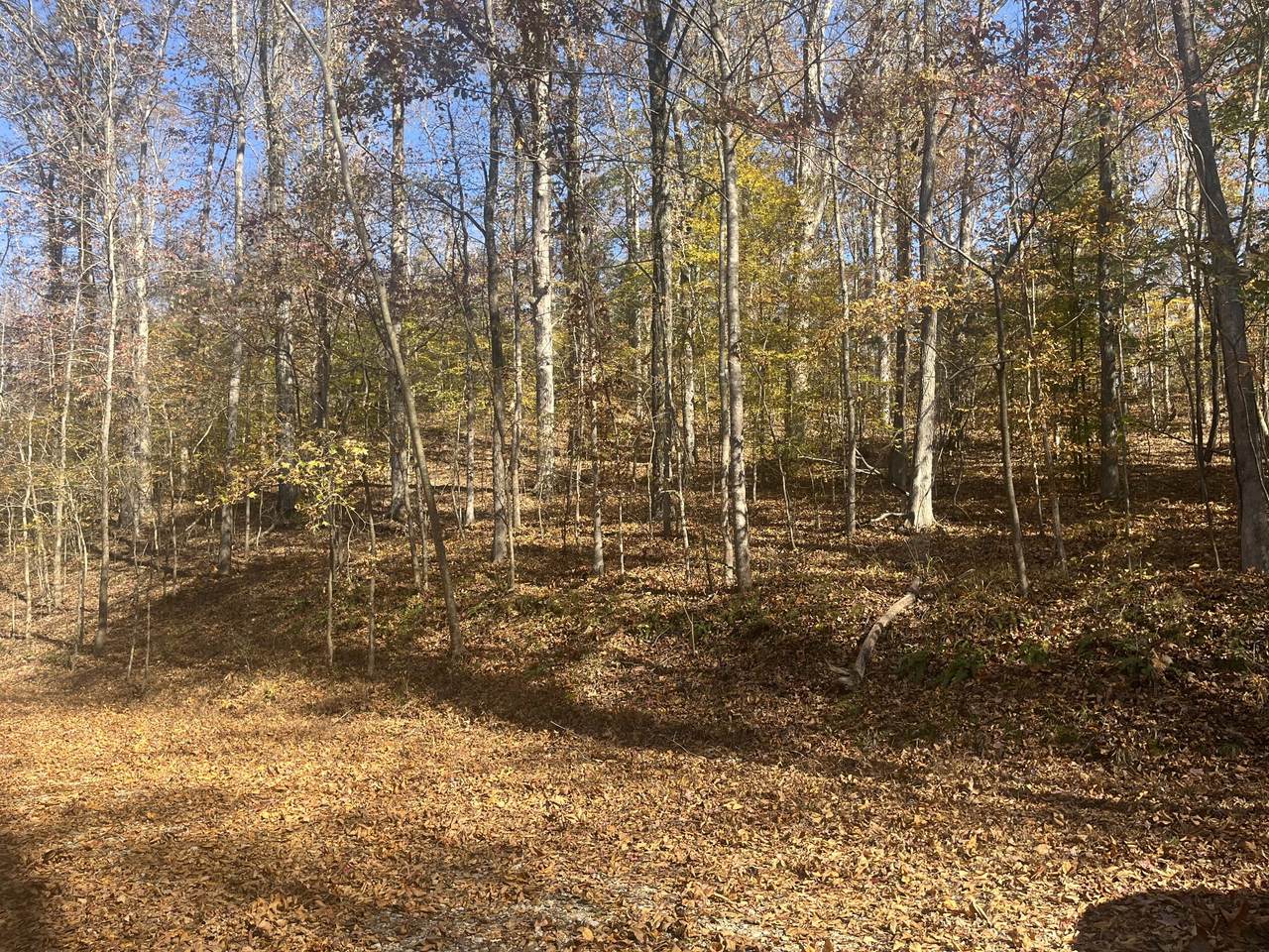 0 Arrow Head Circle - Photo 1