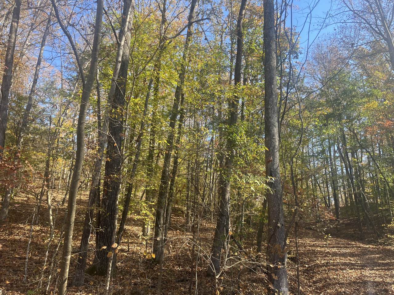 https://bt-photos.global.ssl.fastly.net/nashville/1280_boomver_1_RTC3047441-1.jpg
