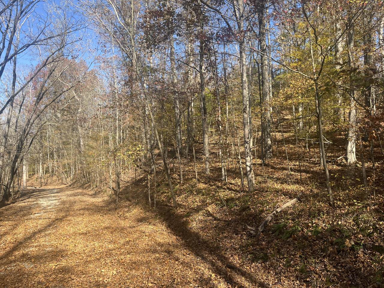 https://bt-photos.global.ssl.fastly.net/nashville/1280_boomver_1_RTC3047441-1.jpg