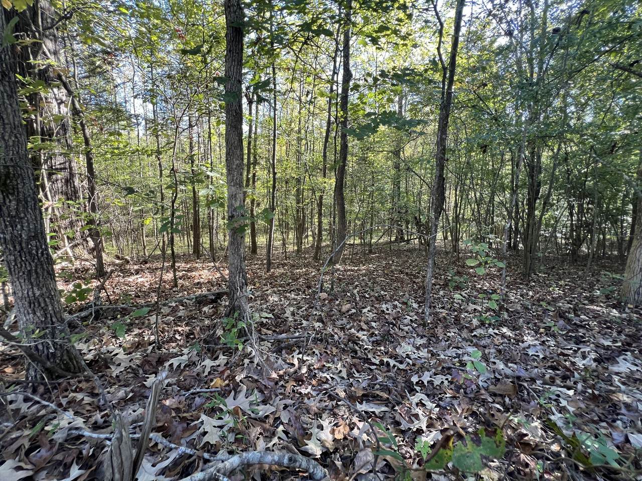 0 Tobaccoport Rd - Photo 1