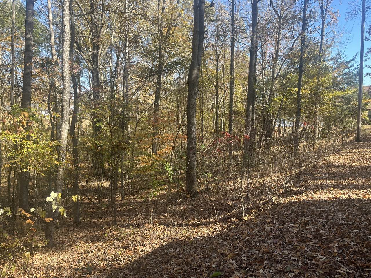 0 Indian Park Dr - Photo 1