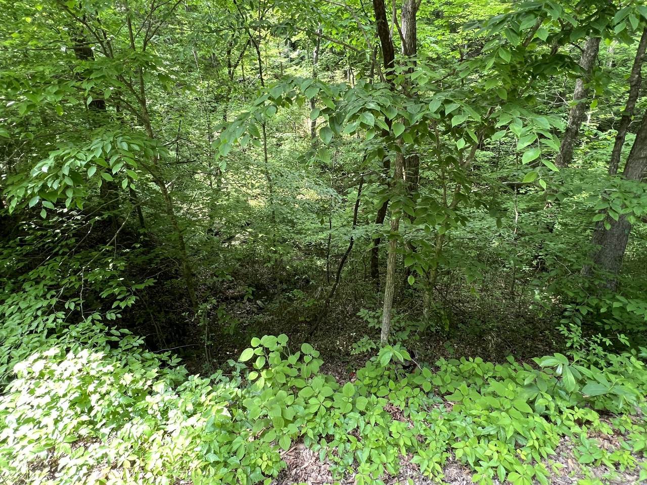 https://bt-photos.global.ssl.fastly.net/nashville/1280_boomver_1_RTC3047881-1.jpg