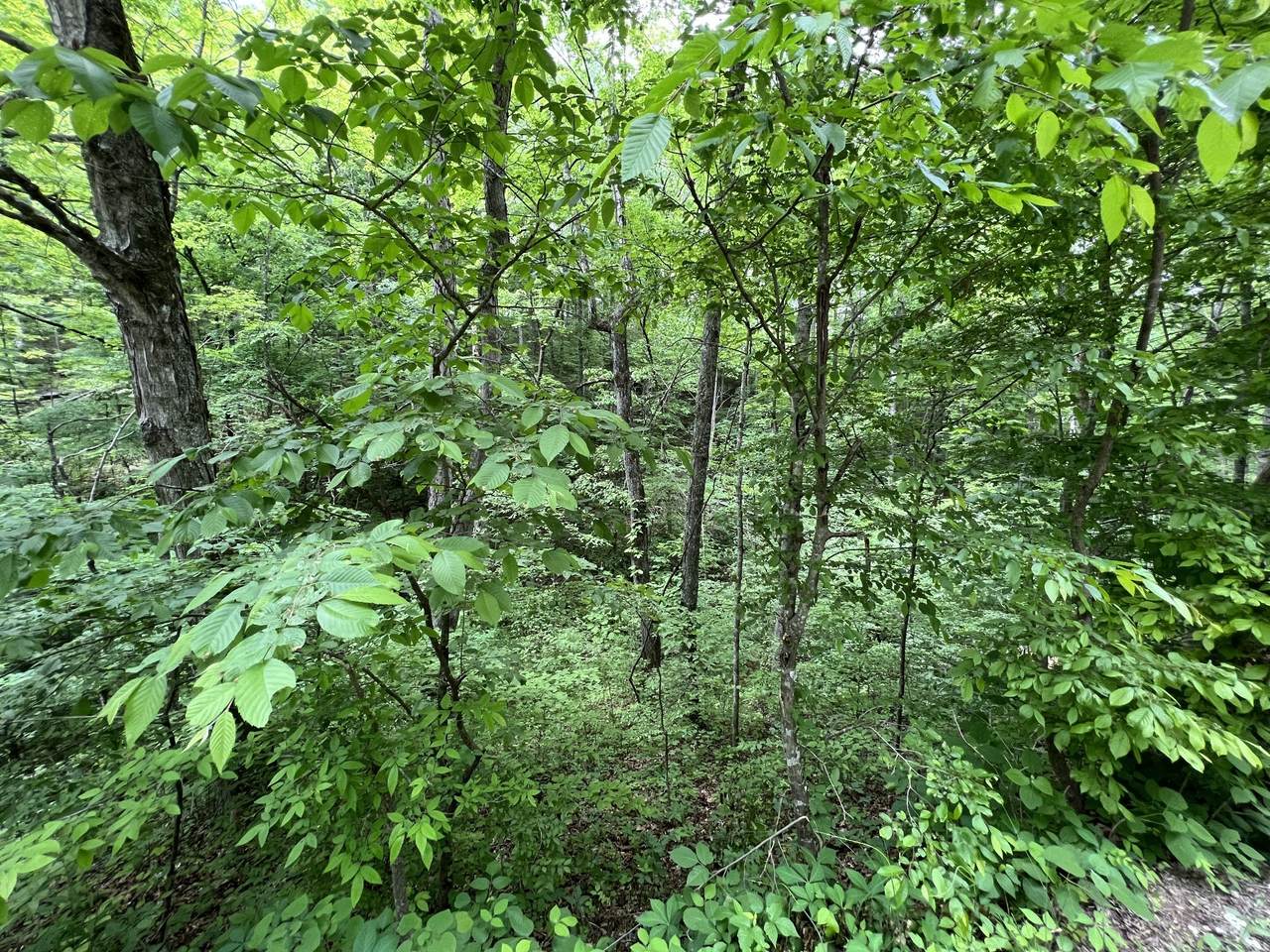 https://bt-photos.global.ssl.fastly.net/nashville/1280_boomver_1_RTC3047881-1.jpg