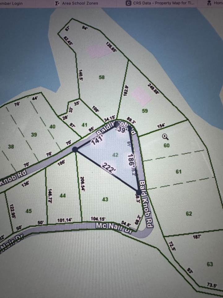 0 Bald Knob Rd - Photo 1