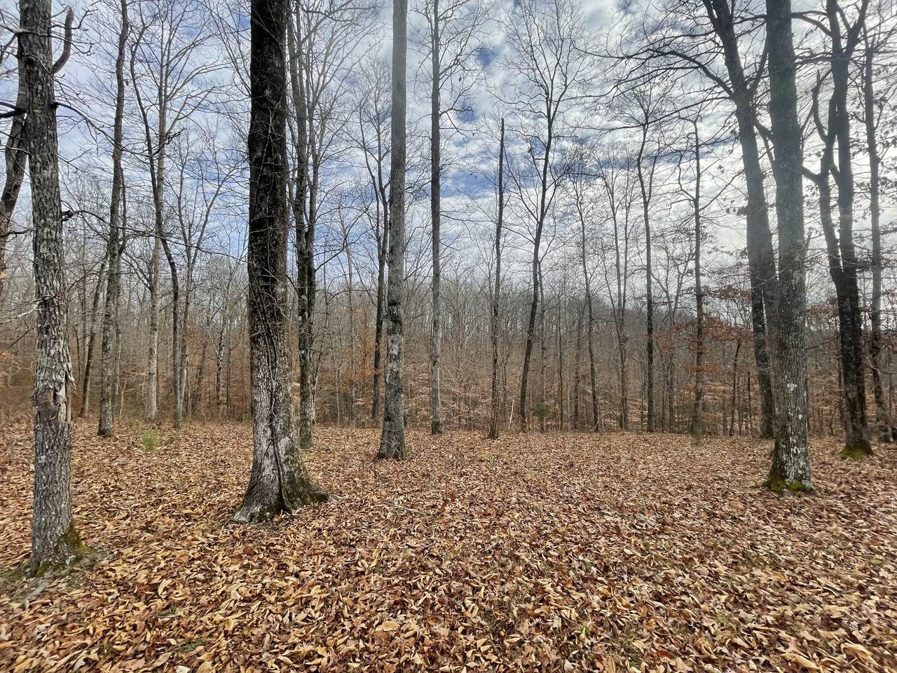 https://bt-photos.global.ssl.fastly.net/nashville/1280_boomver_1_RTC3049695-1.jpg