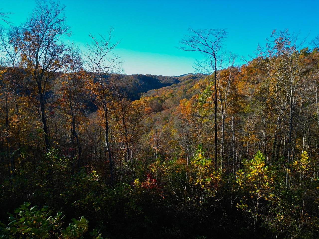 0 Rock Springs Rd - Photo 1