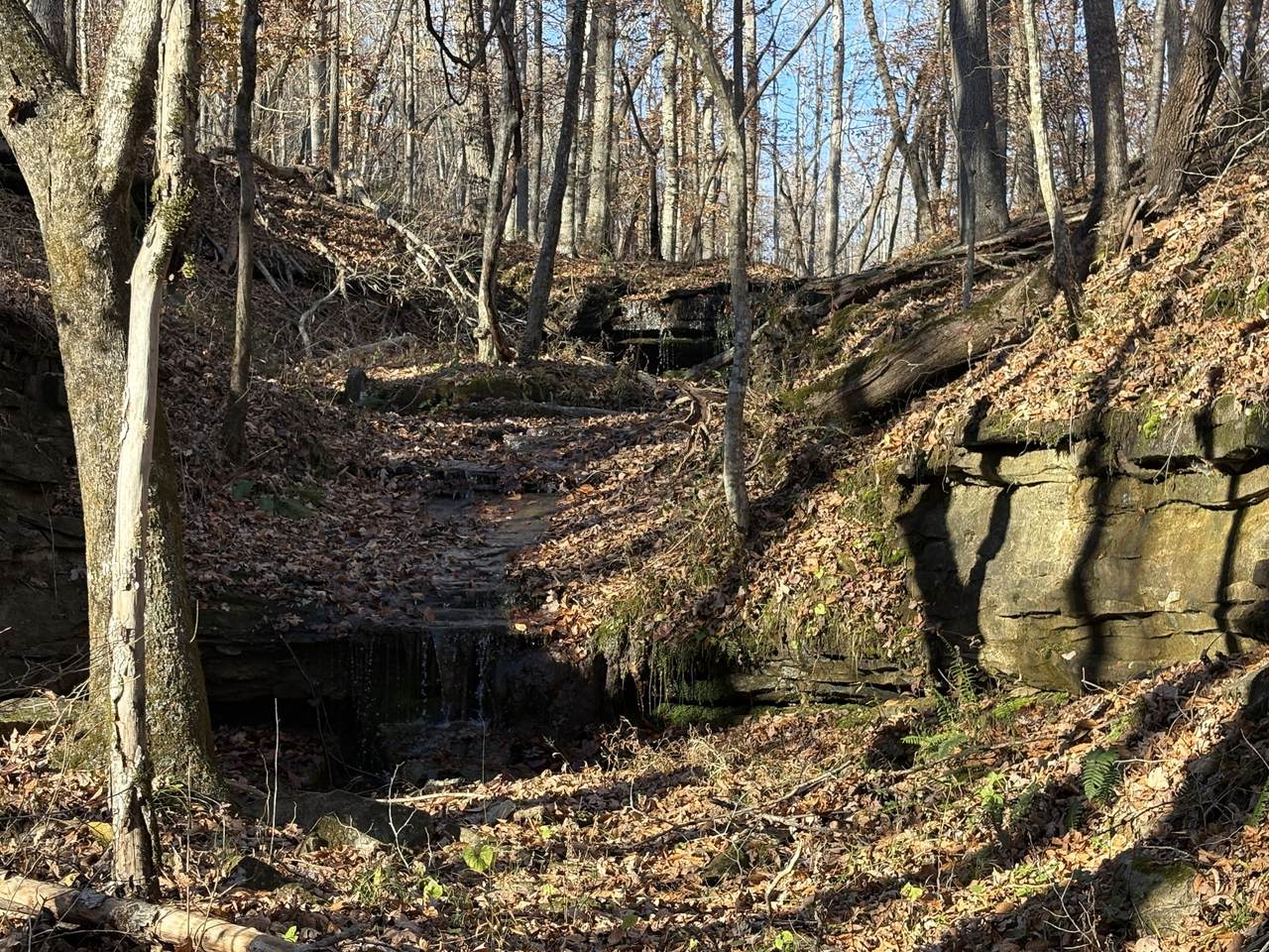 https://bt-photos.global.ssl.fastly.net/nashville/1280_boomver_1_RTC3050203-1.jpg
