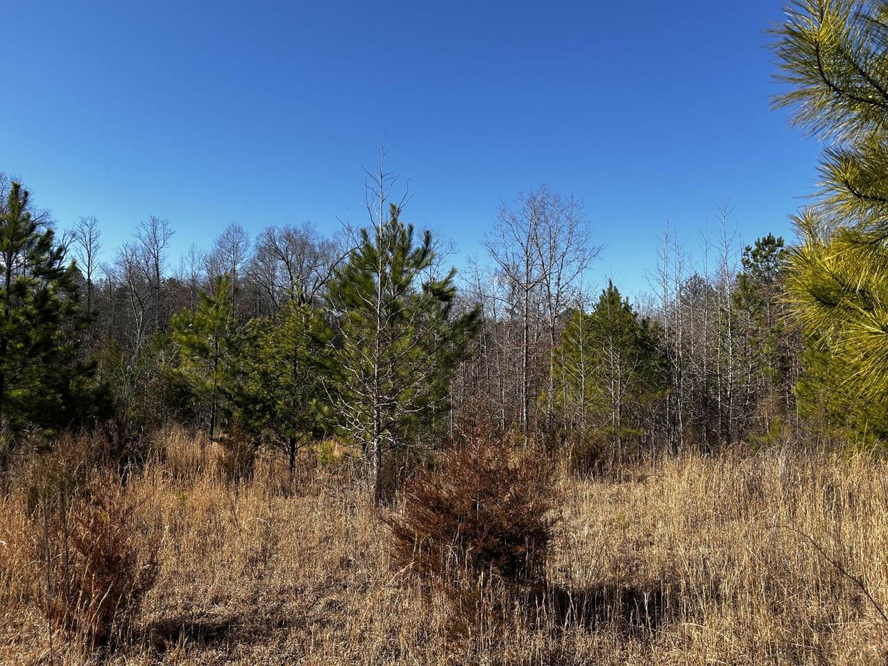 https://bt-photos.global.ssl.fastly.net/nashville/1280_boomver_1_RTC3057200-1.jpg