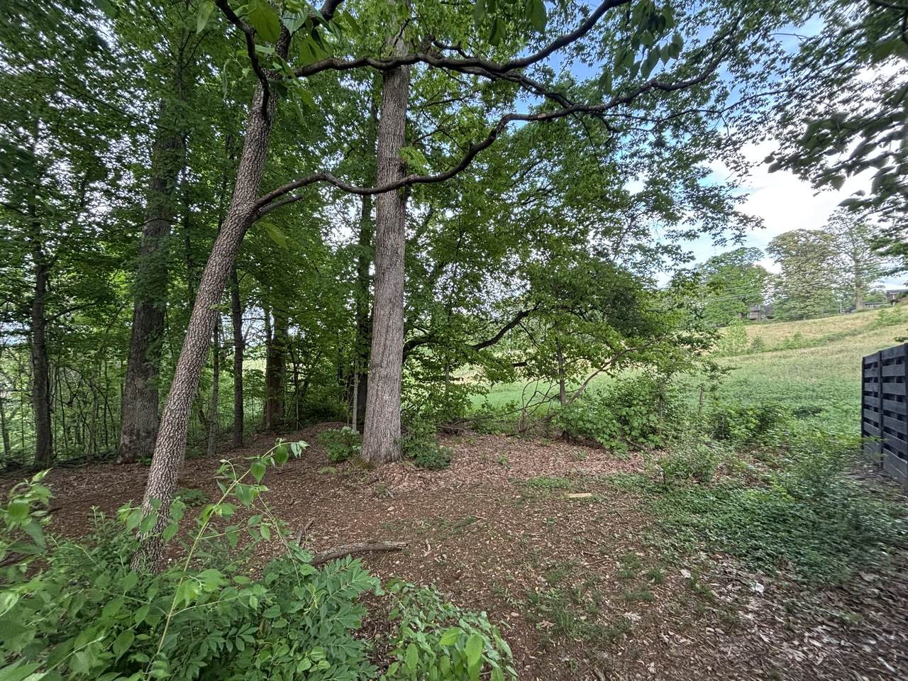 1012 Saint Johns Dr - Photo 1