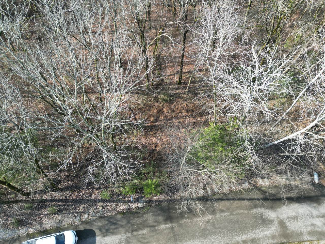 https://bt-photos.global.ssl.fastly.net/nashville/1280_boomver_1_RTC3059090-1.jpg