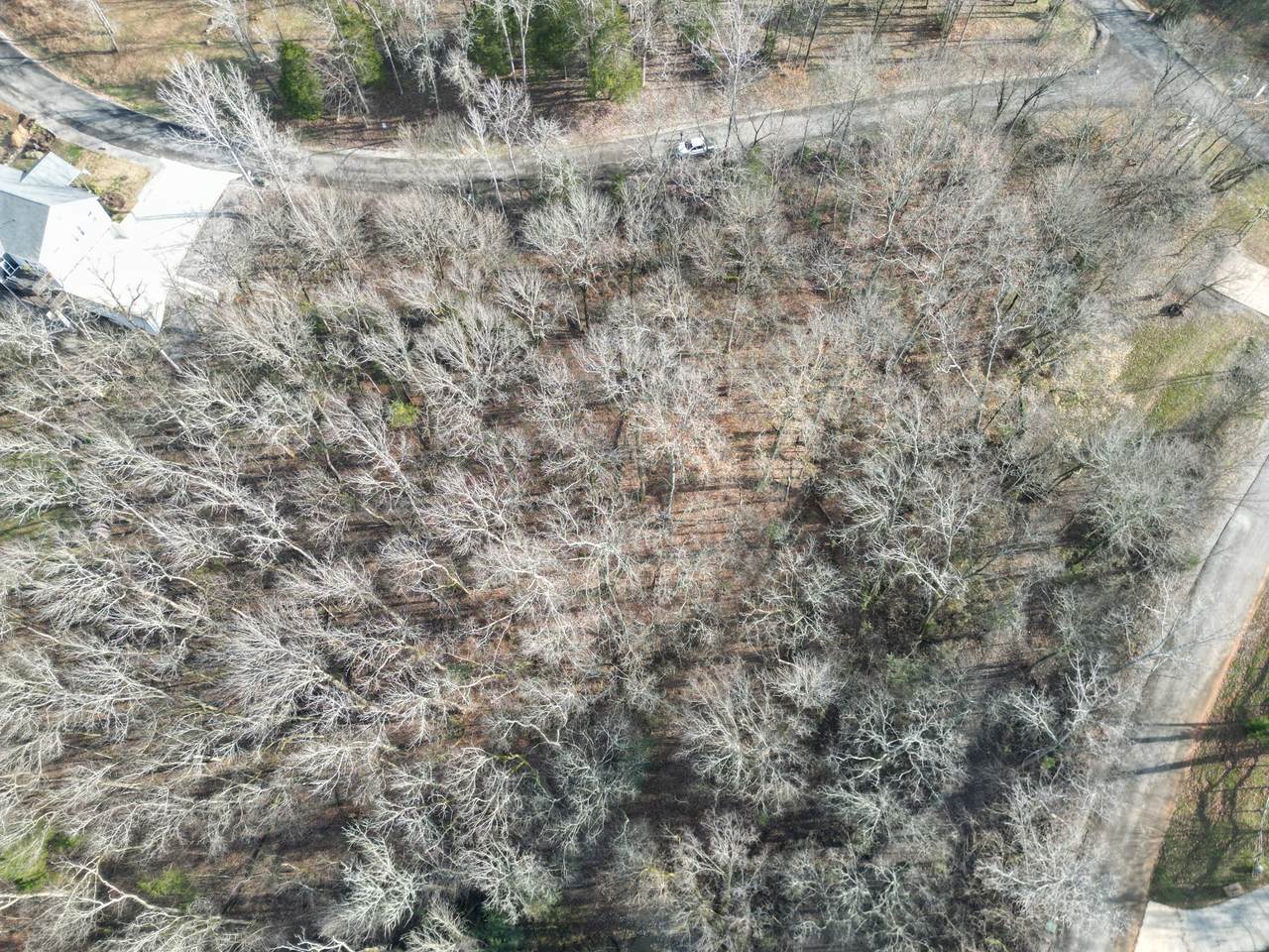 https://bt-photos.global.ssl.fastly.net/nashville/1280_boomver_1_RTC3059090-1.jpg