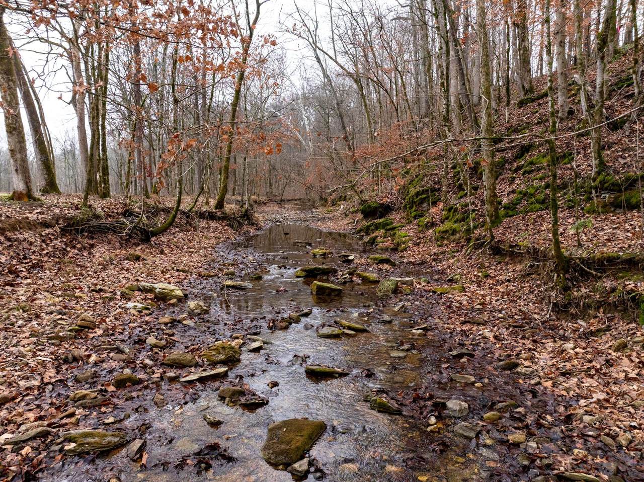 0 Shelter Branch Road - Photo 1