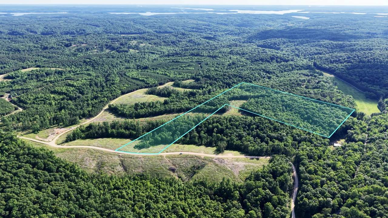 0 Cox Hollow - Photo 1