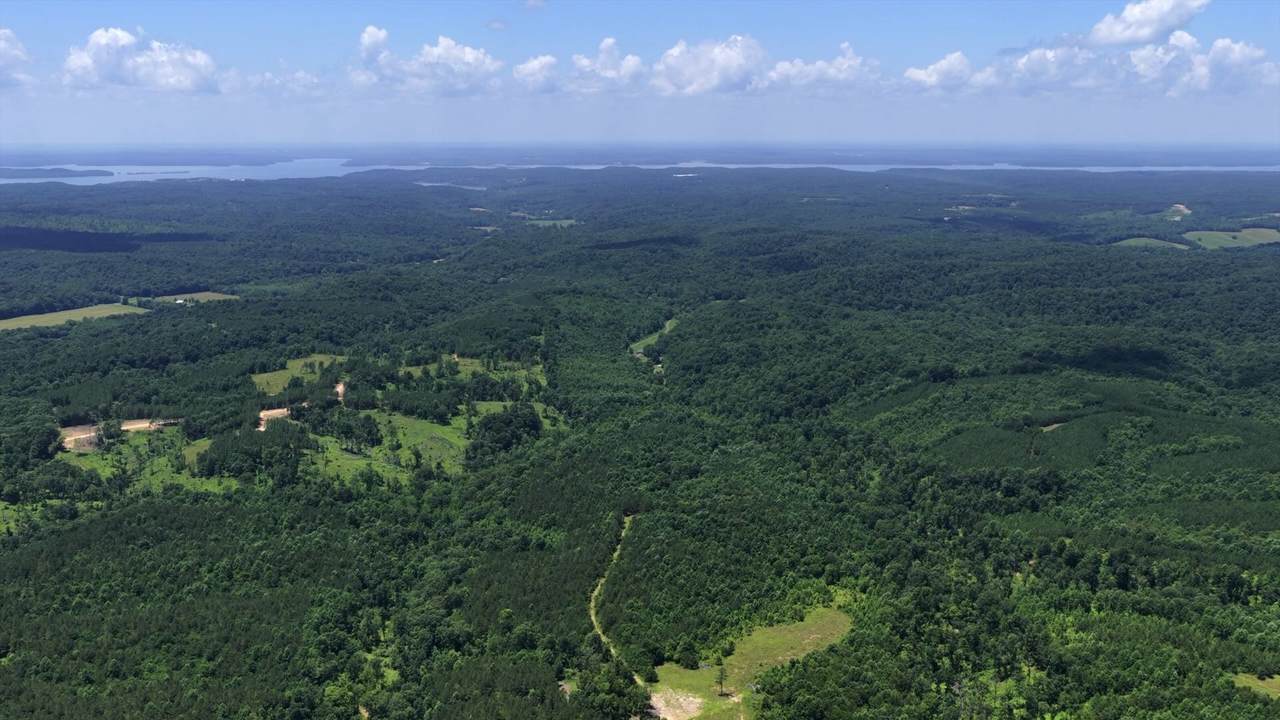 0 Cox Hollow - Photo 1