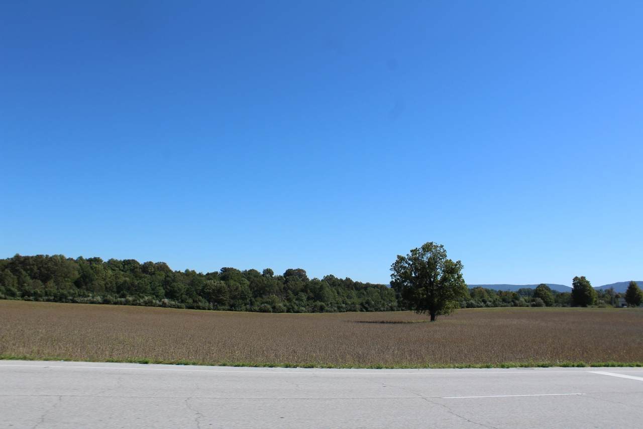 0 Old Wells Rd - Photo 1