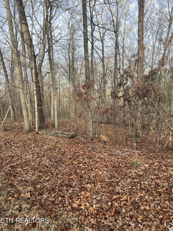 https://bt-photos.global.ssl.fastly.net/nashville/1280_boomver_1_RTC3060695-1.jpg