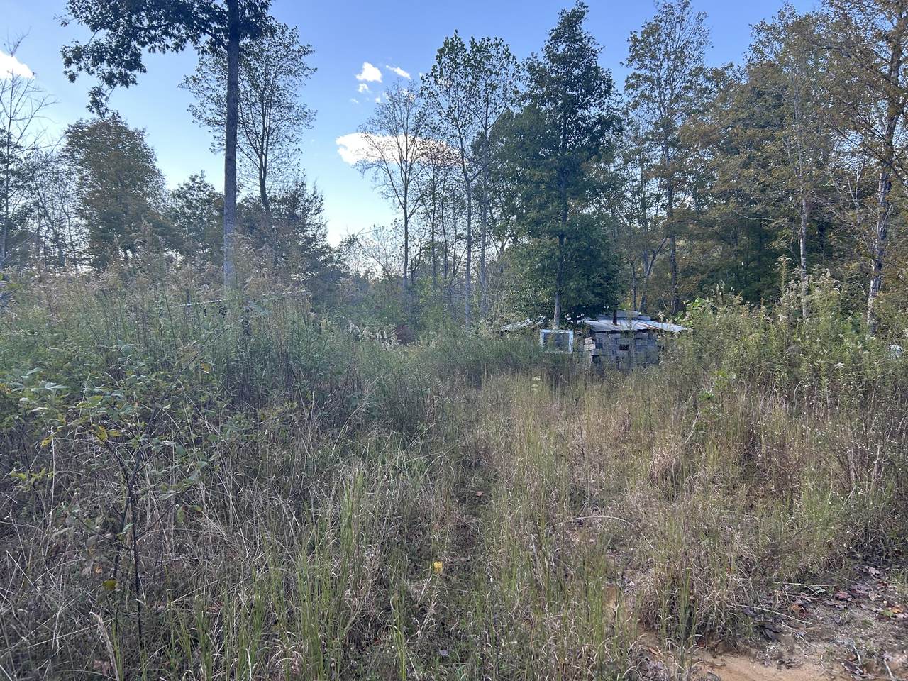 769 Preston Baggett Rd - Photo 1