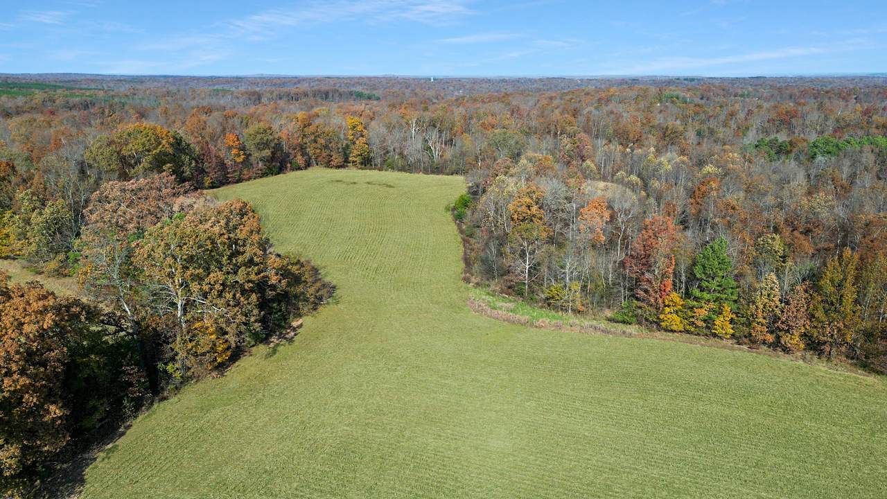 https://bt-photos.global.ssl.fastly.net/nashville/1280_boomver_1_RTC3061409-1.jpg