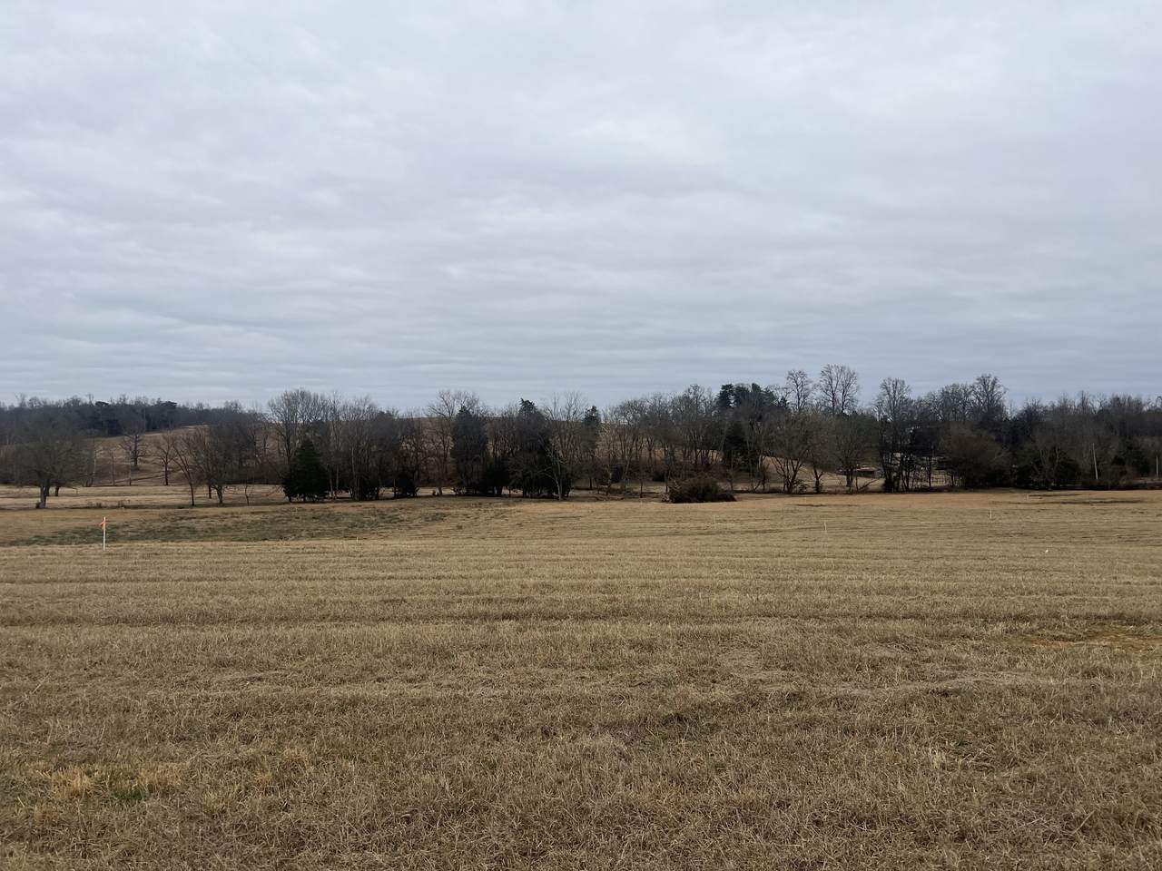 19 Clay County Hwy - Photo 1