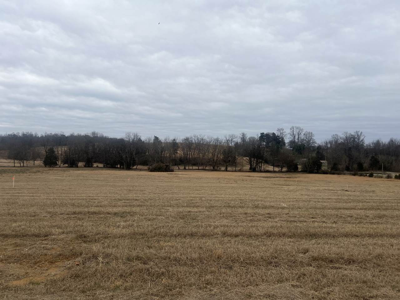 22 Clay County Hwy - Photo 1