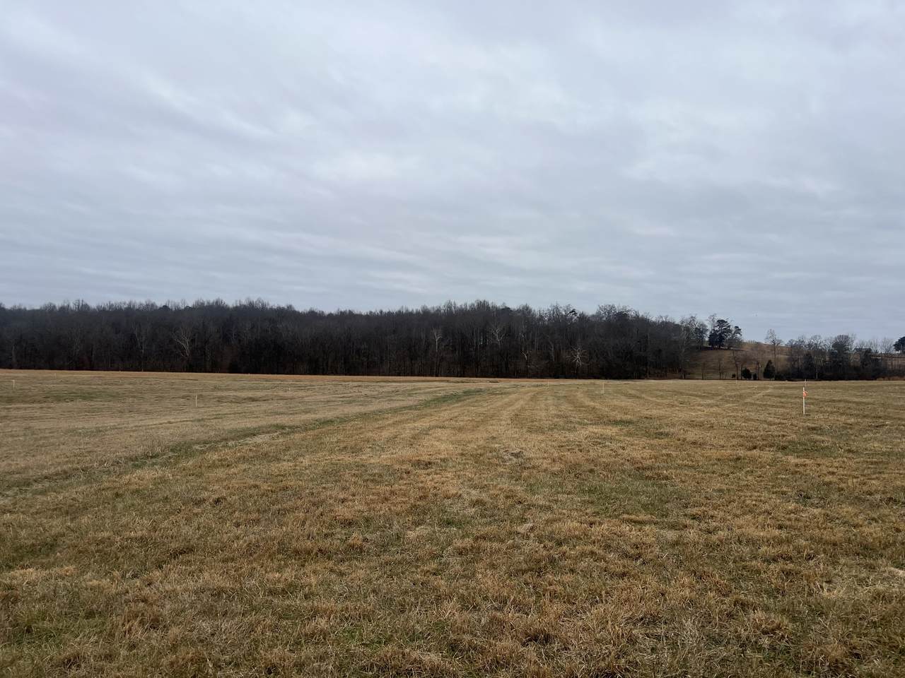 5 Clay County Hwy - Photo 1