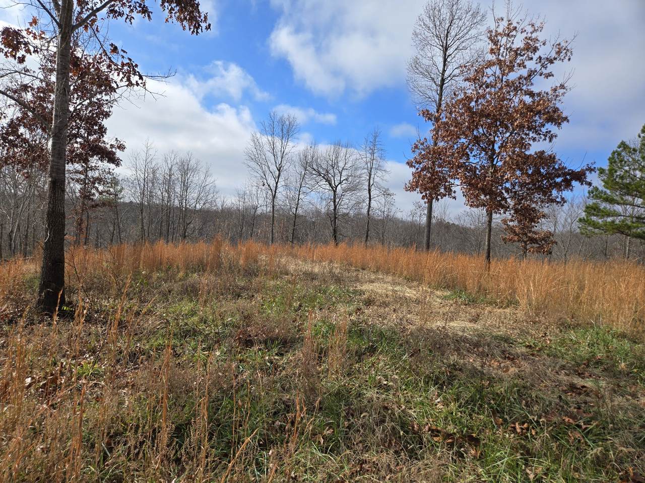 30 W Dry Creek Rd - Photo 1