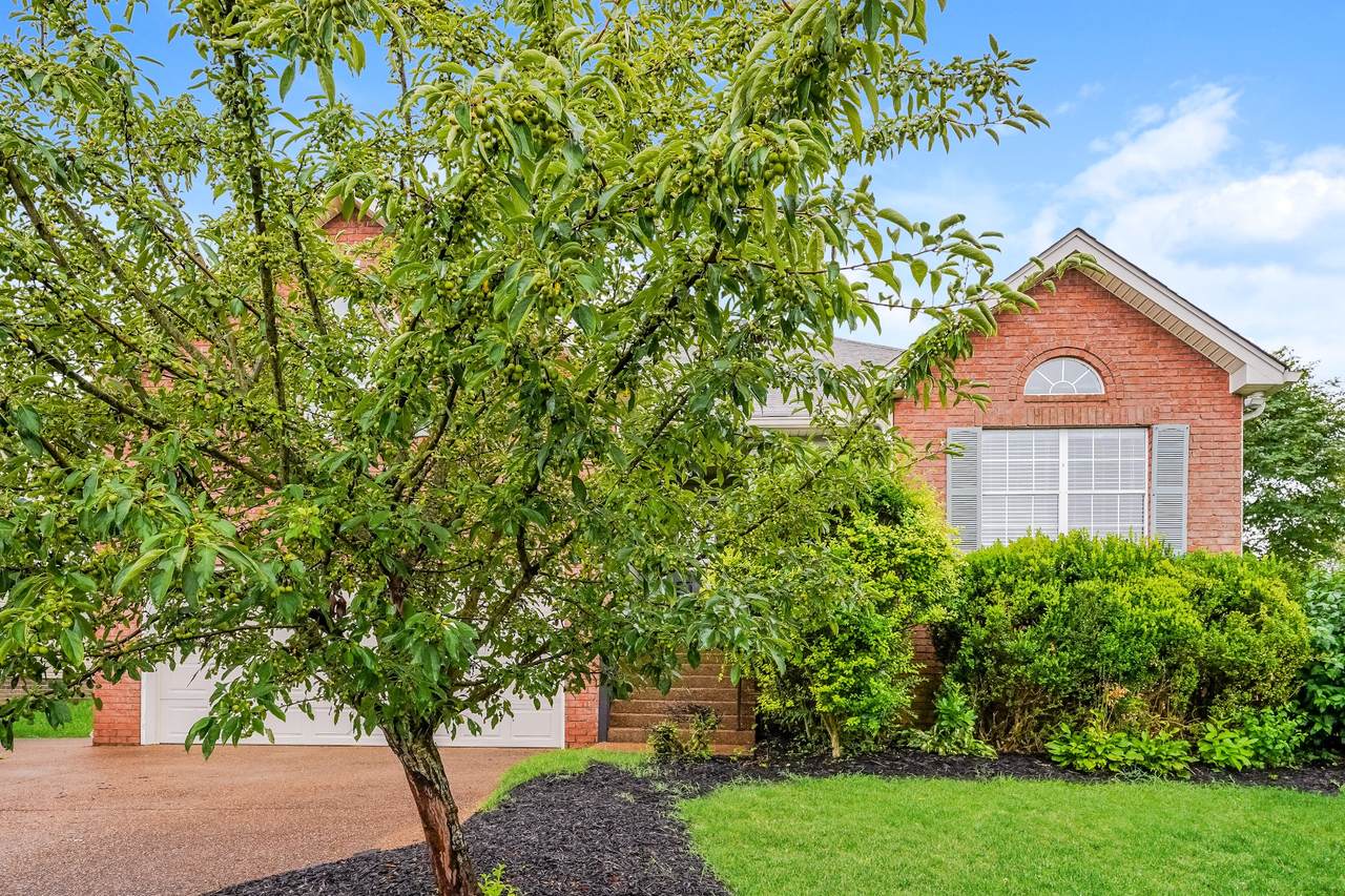 204 Oxford Pl - Photo 1