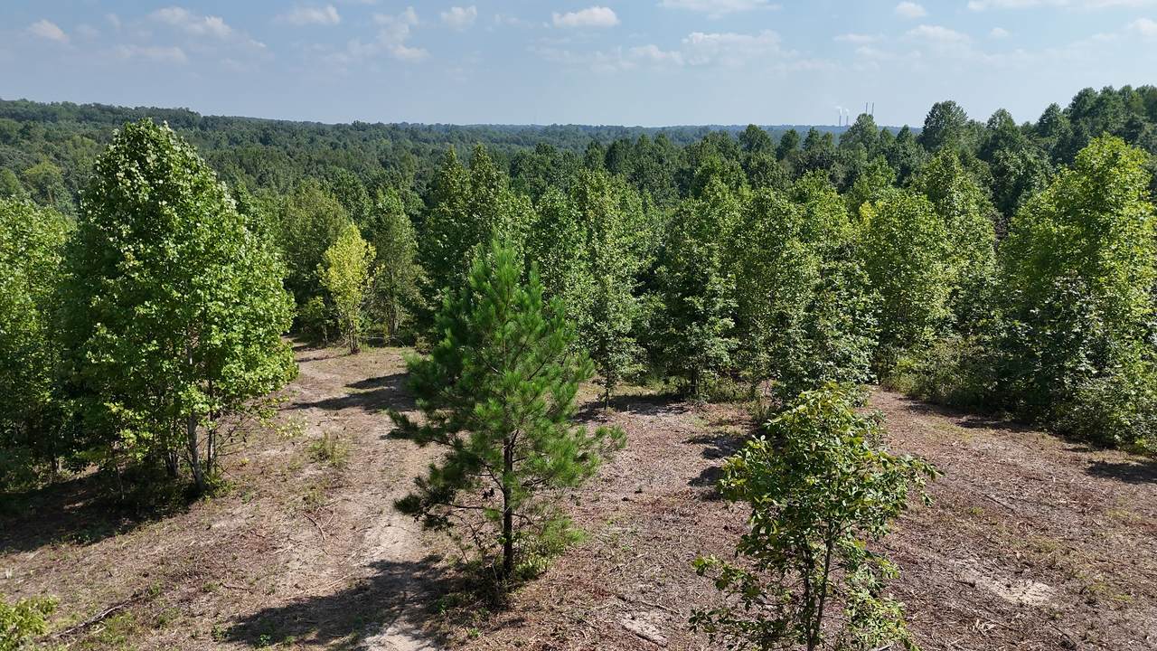 0 Freedom Ridge - Photo 1