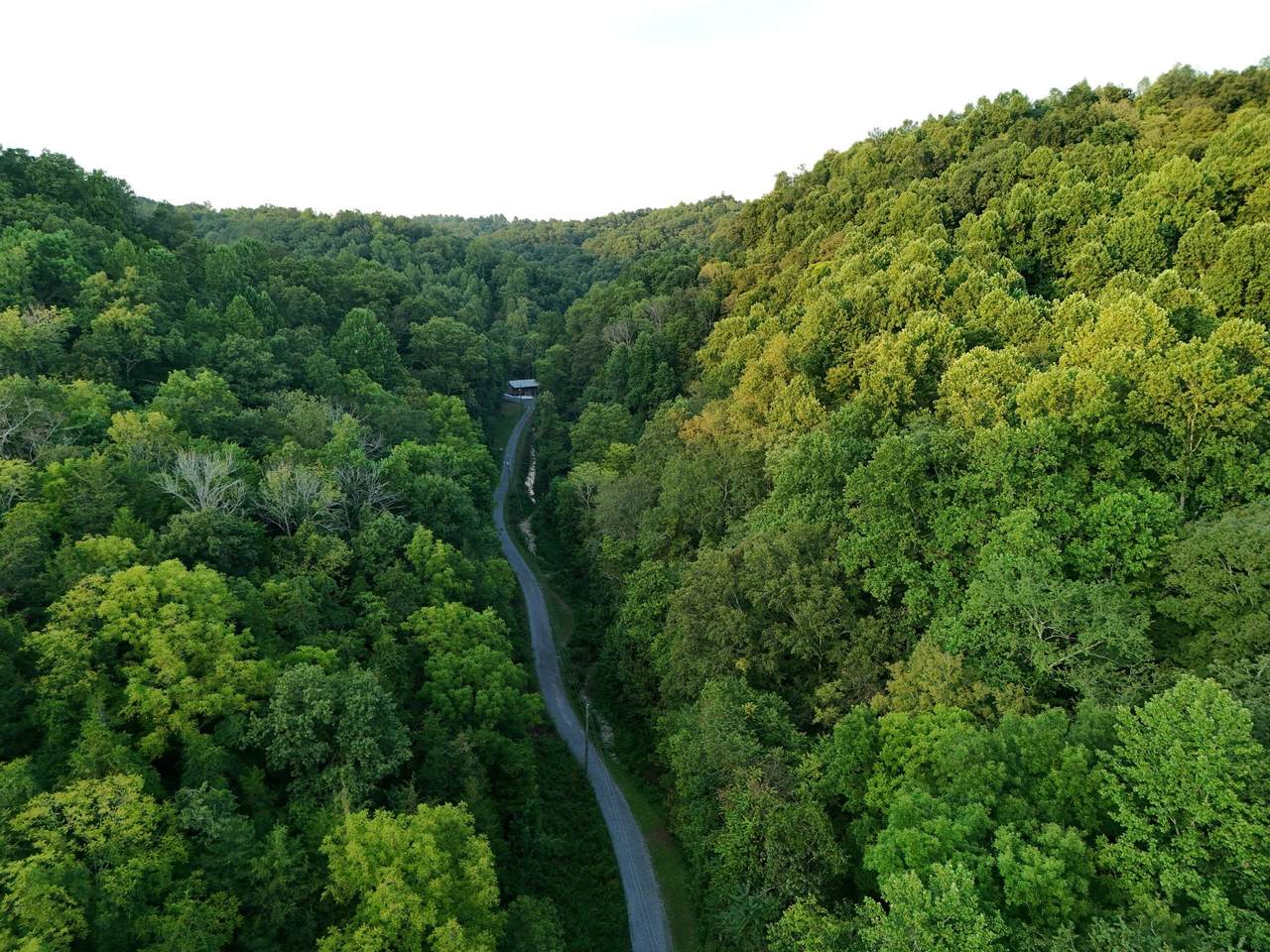 778 Jones Hollow Road - Photo 1