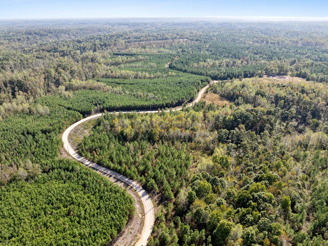 0 Cox Hollow - Photo 1