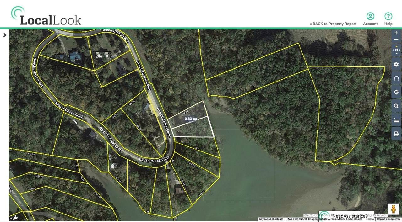 3 Beech Creek Loop - Photo 1