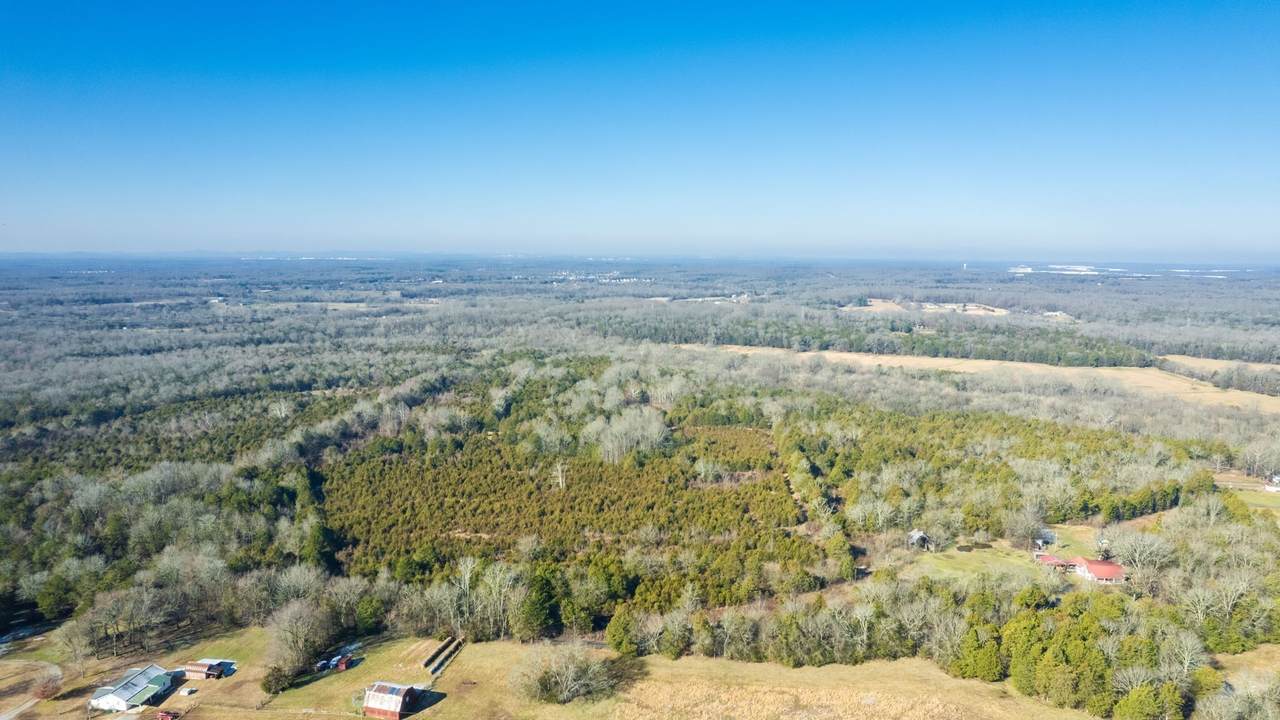 980 Baldy Ford Road - Photo 1