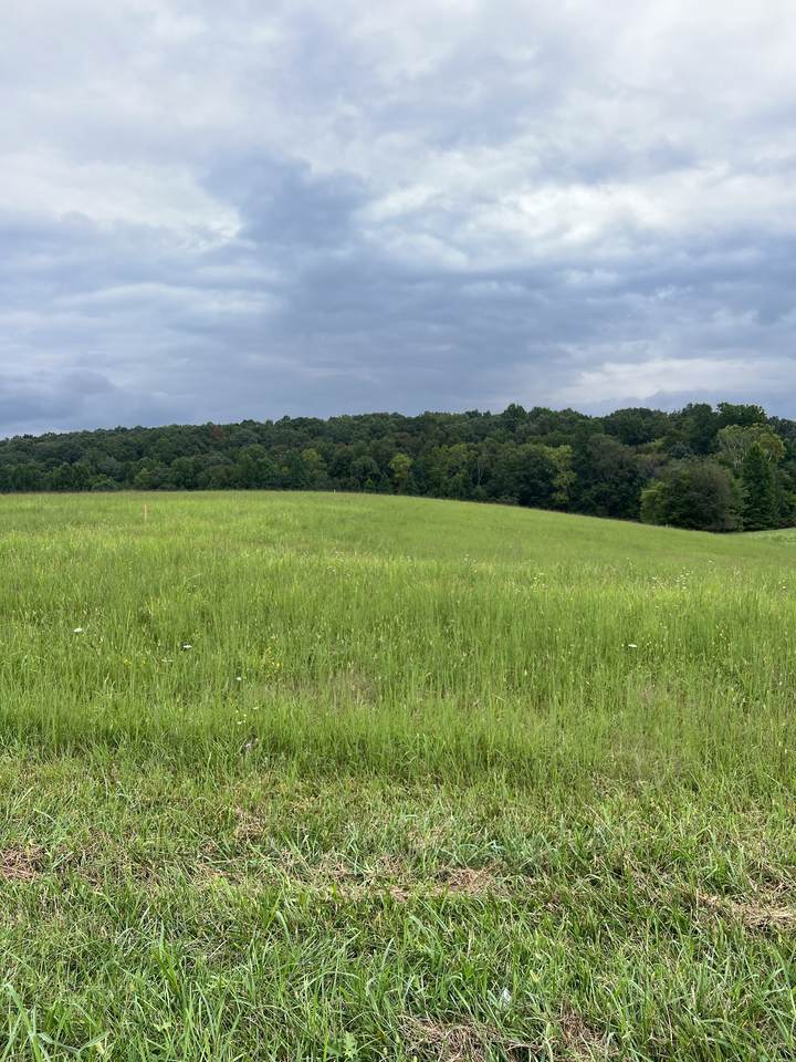 9 Highway 52 - Photo 1
