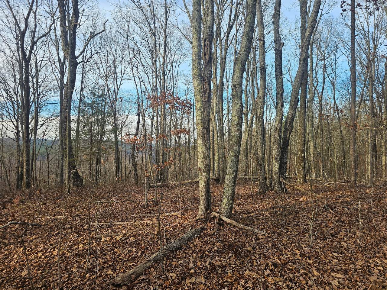 2900300 Smith Mountain - Photo 1