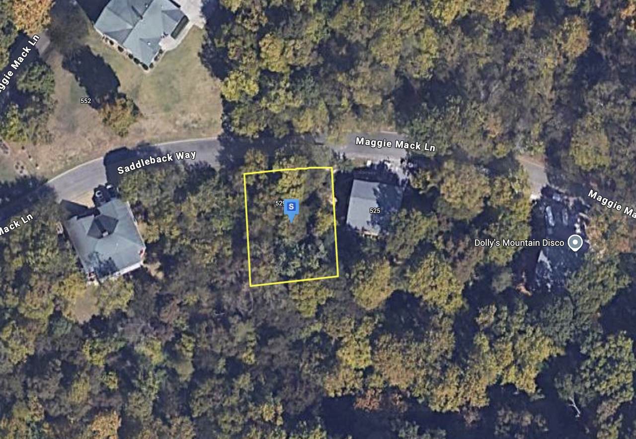 529 Maggie Mack Ln - Photo 1