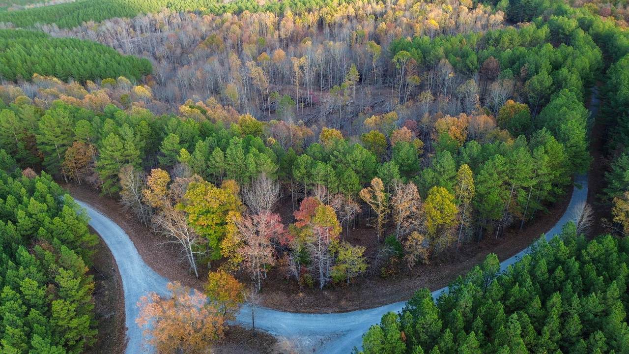 0 Sassafras Stand Ridge Rd - Photo 1