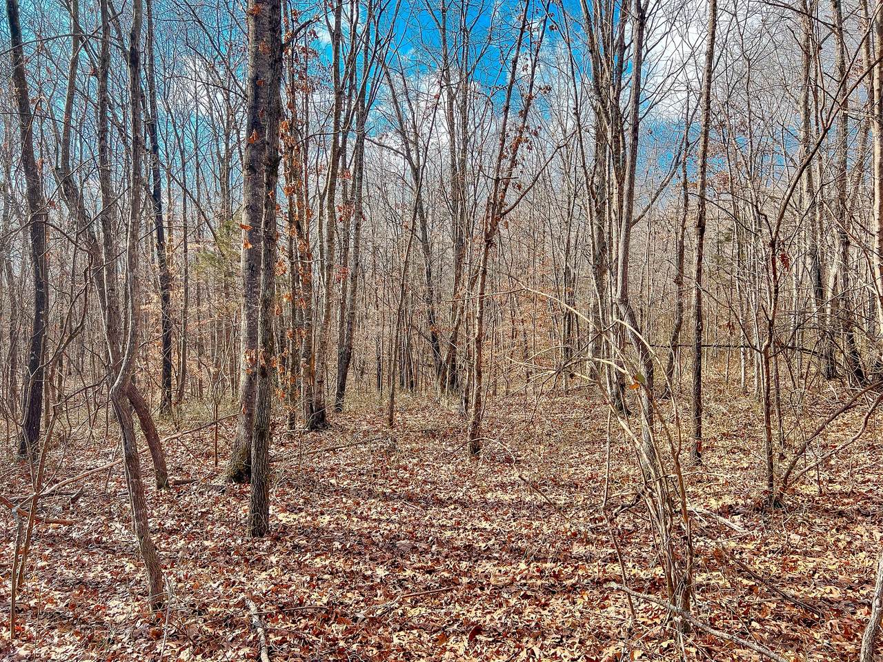 0 Pigpen Hollow Rd - Photo 1