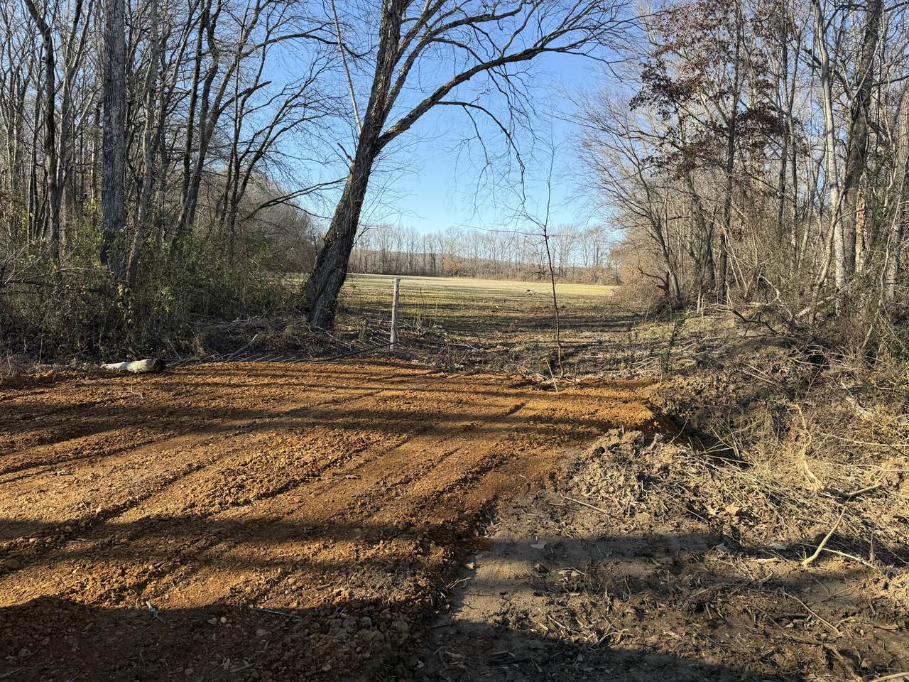 0 Harlon Iron Rd - Photo 1