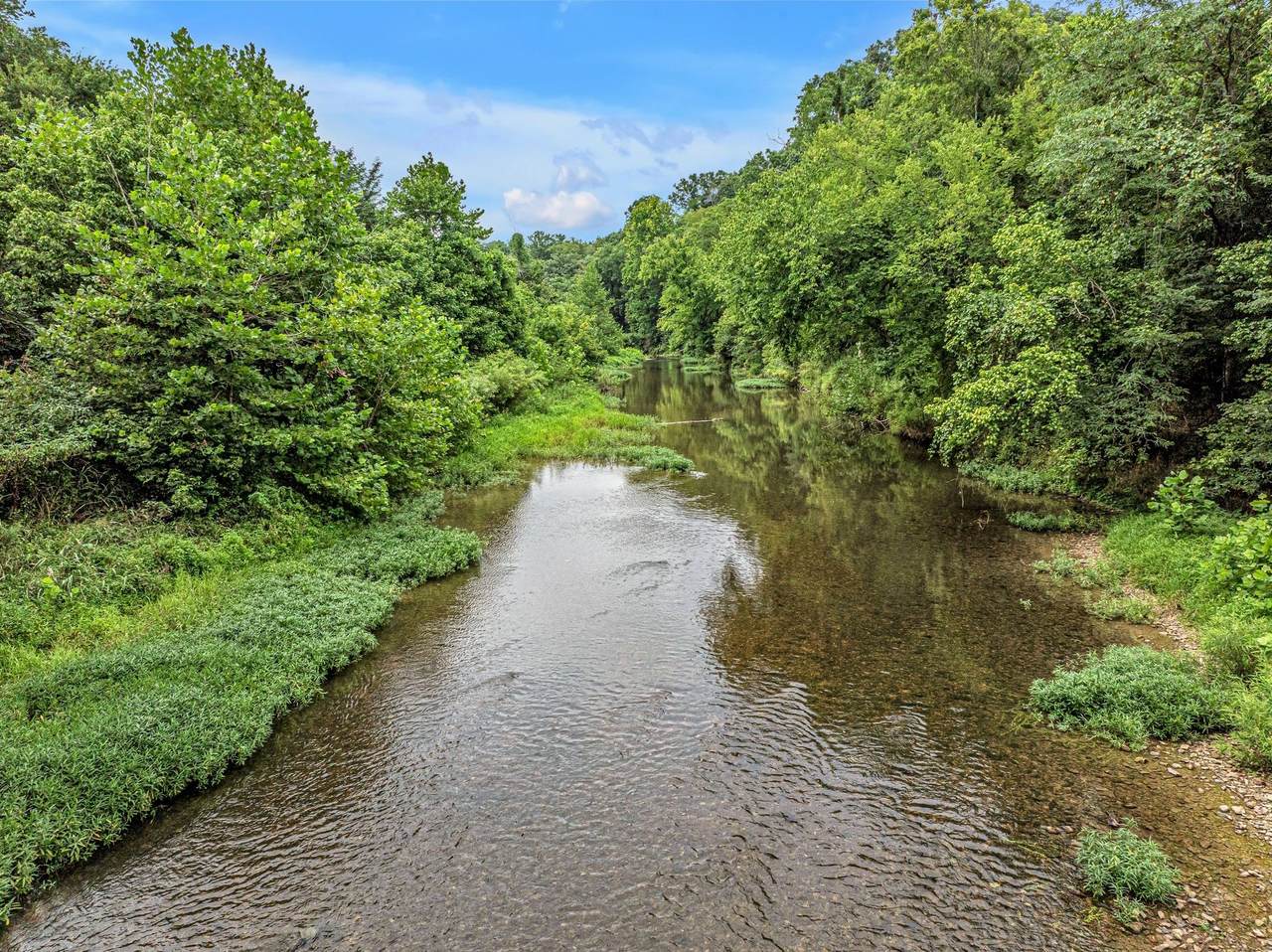 1259 Petty Road - Photo 1