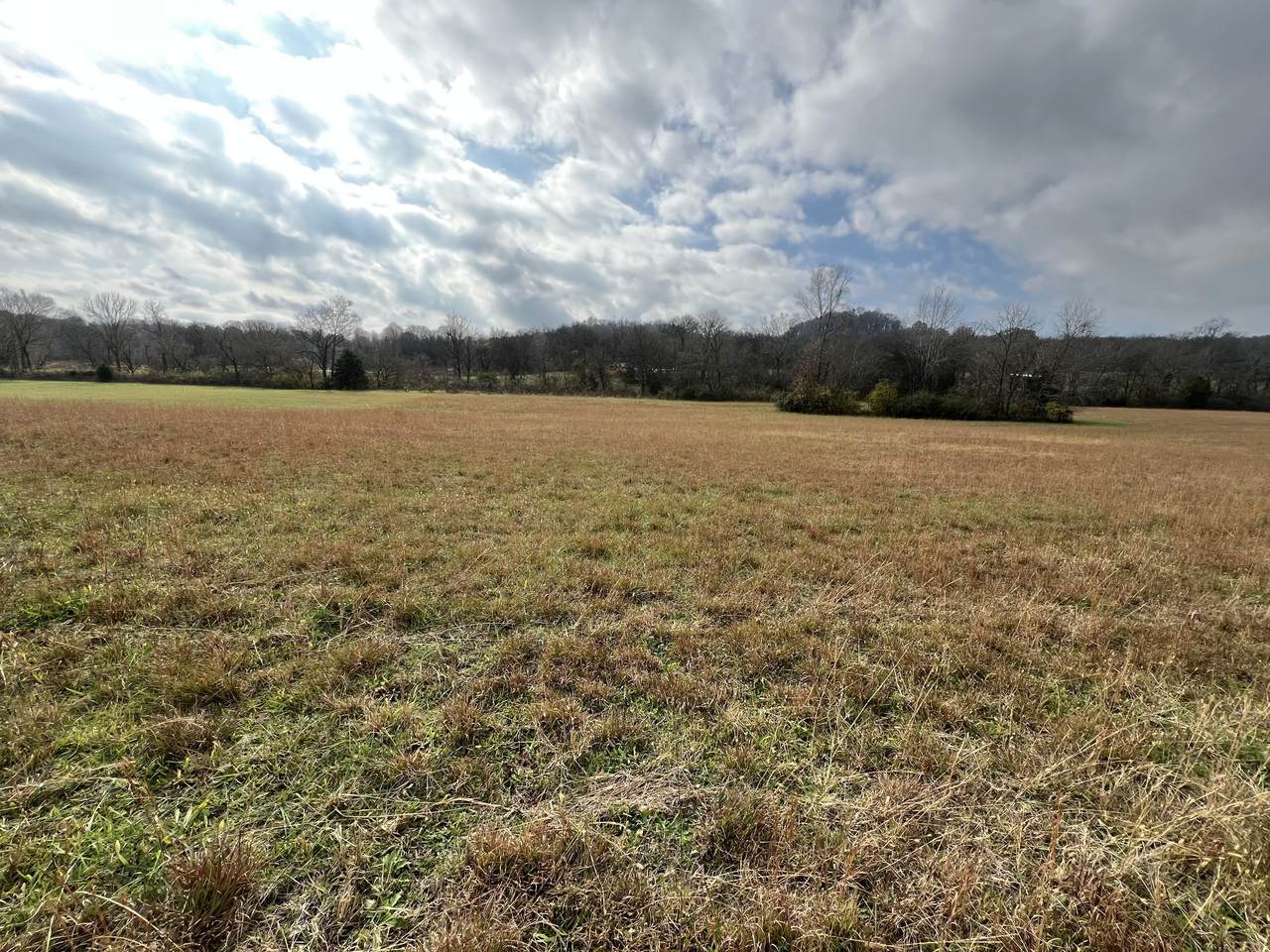 0 Carters Creek Pike - Photo 1