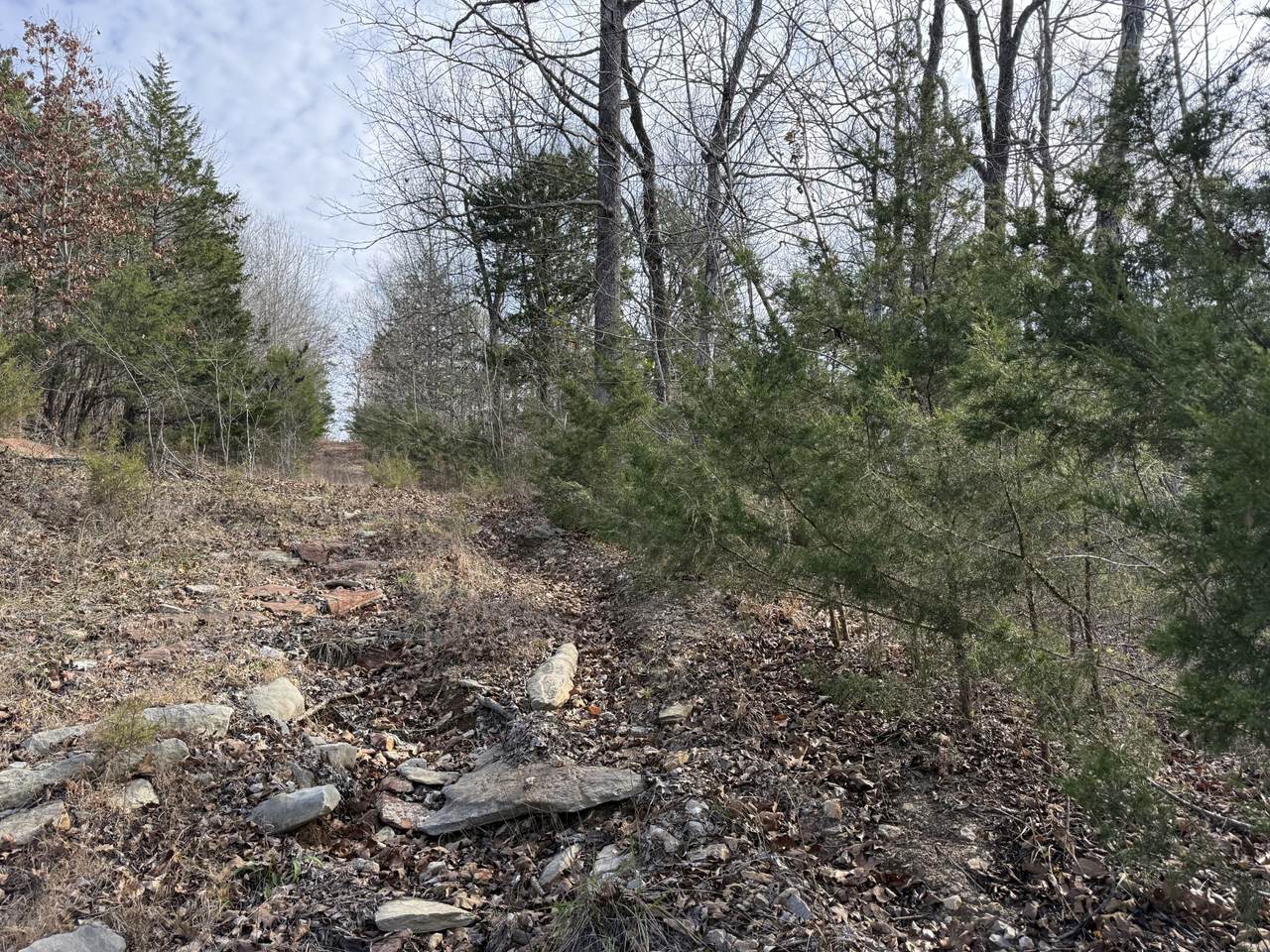 0 Riverview Rd - Photo 1