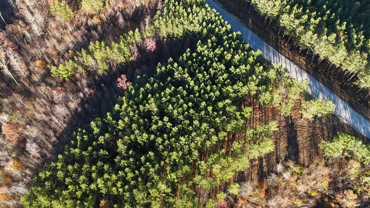 252 Streamside Dr - Photo 1